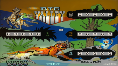 Big Valley (Bally 1970)