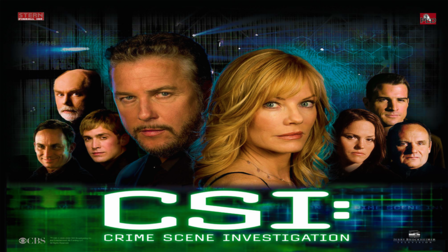CSI (Stern 2008)