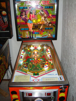 Pinball Pool